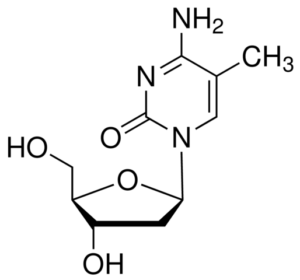 5-Methyl-2'-deoxycytidine