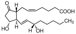 Prostaglandin E2, γ-irradiated, ≥99%