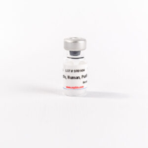 Purified Human Fibronectin