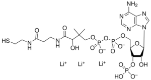 Coenzyme A Trilithium Salt Dihydrate