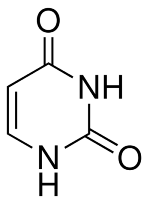 Uracil
