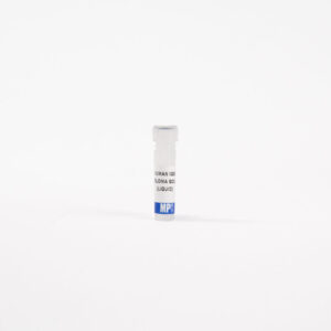 IgG1, human myeloma, purified