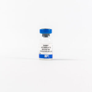 Rabbit Anti-Bovine IgG