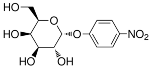 p-Nitrophenyl-α-D-galactopyranoside