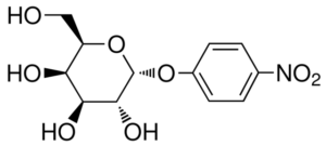p-Nitrophenyl-α-D-galactopyranoside