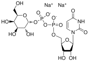 Uridine-5'-diphosphogalactose, disodium salt,≥95%