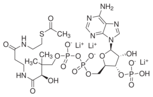 Acetyl coenzyme A, trilithium salt, trihydrate
