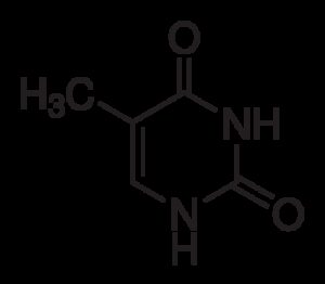 Thymine, ~99%