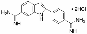 4',6-Diamidino-2-phenylindole dihydrochloride