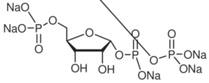 5-Phospho-D-ribose 1-diphosphate pentasodium salt