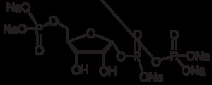 5-Phospho-D-ribose 1-diphosphate pentasodium salt