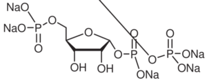 5-Phospho-D-ribose 1-diphosphate pentasodium salt
