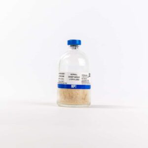 Sheep serum (lyophilized)