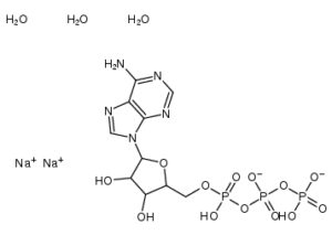 Adenosine-5'-triphosphate