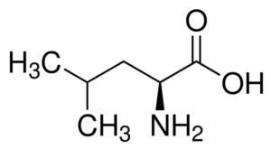 L-Leucine