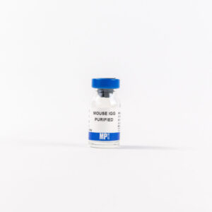 Purified Mouse IgG