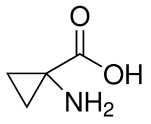 1-Aminocyclopropane-1-carboxylic acid