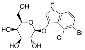 5-Bromo-4-chloro-3-indolyl-β-D-galactopyranoside