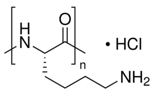 Poly-L-lysine hydrochloride