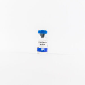 Whole Sheep Serum