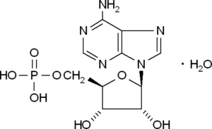 Adenosine-5'-monophosphate, monohydrate