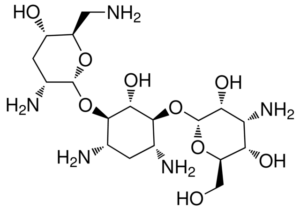 Tobramycin