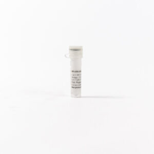 RNAMatrix binding matrix