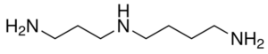 Spermidine Free Base