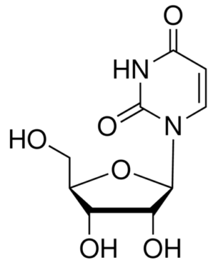 Uridine