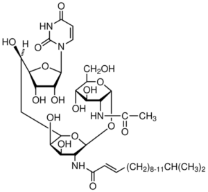Tunicamycin