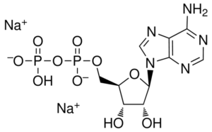 Adenosine-5'-diphosphate, disodium salt
