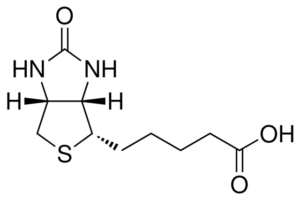 D-Biotin