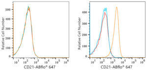 ABflo® 647 Rabbit anti-Human CR2/CD21 mAb