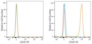 PE Rabbit anti-Human/Monkey CD20 mAb