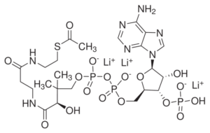 Acetyl coenzyme A, trilithium salt, trihydrate