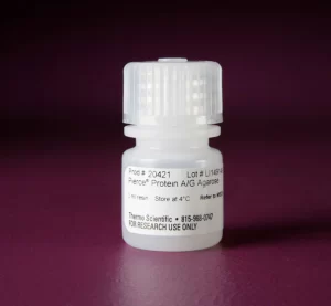 Thermo Scientific™ Pierce™ Protein A/G Agarose X