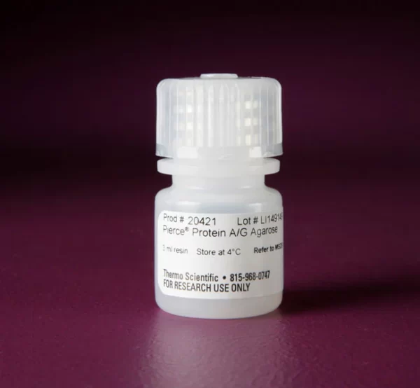 Thermo Scientific™ Pierce™ Protein A/G Plus Agarose X