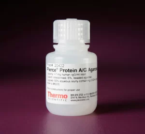 Thermo Scientific™ Pierce™ Protein A/G Agarose X