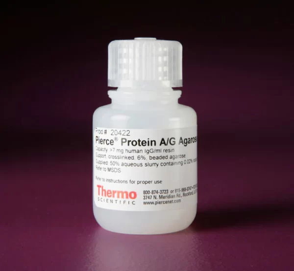 Thermo Scientific™ Pierce™ Protein A/G Agarose X