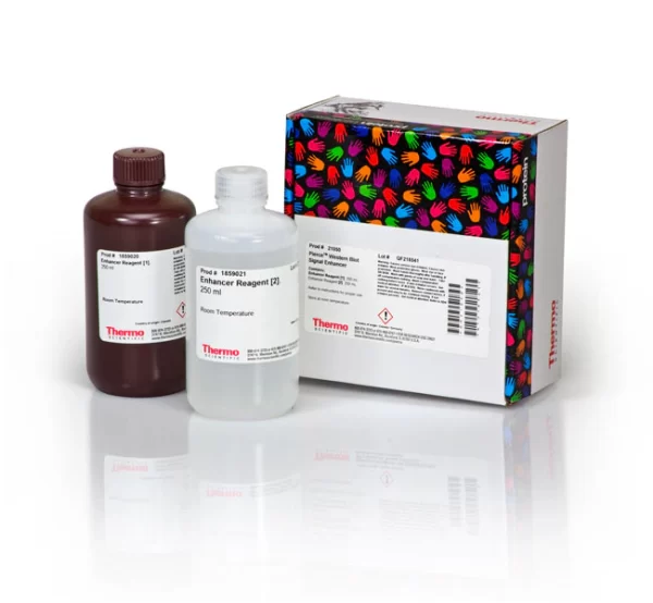 Thermo Scientific™ Pierce™ Western Blot Signal Enhancer
