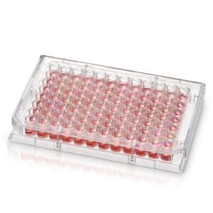 Thermo Scientific™ 96 Well UV Transparent Plate, Pack of 10