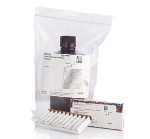 Thermo Scientific™ Pierce™ Bradford Protein Assay Kit