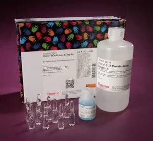 Thermo Scientific Pierce™ BCA Protein Assay Kit- SKU: 23227