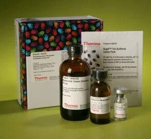 Thermo Scientific™ Pierce™ Phosphoprotein Phosphate Estimation Assay Kit