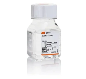 Gibco™ GlutaMAX™ Supplement