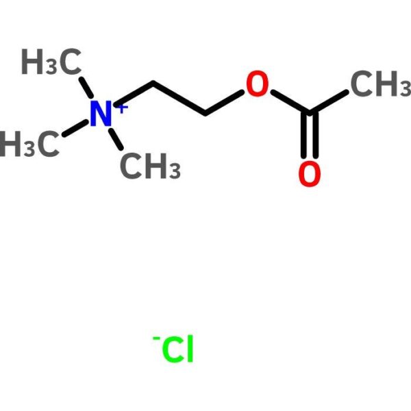 Acetylcholine Chloride