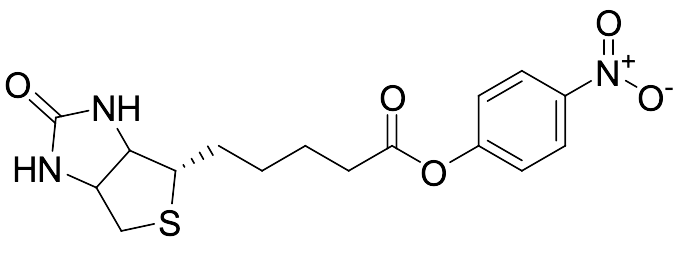 (+)-Biotin-ONP