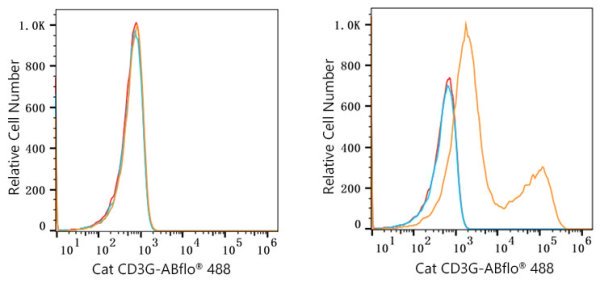 ABflo® 488 Rabbit anti-Cat CD3G mAb