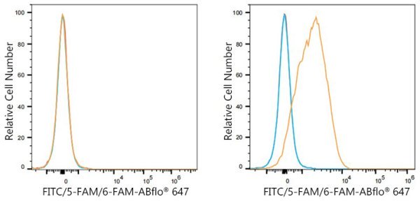 ABflo® 647 Rabbit anti-FITC/5-FAM/6-FAM mAb