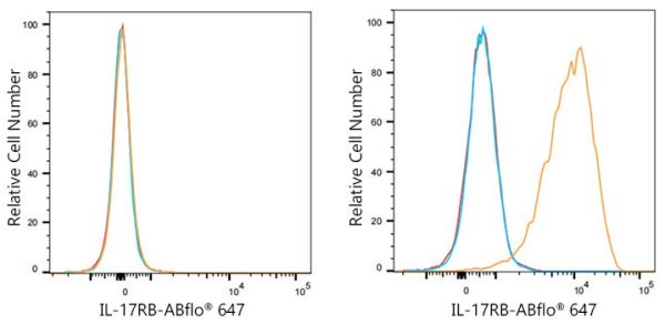 ABflo® 647 Rabbit anti-Human IL-17RB mAb